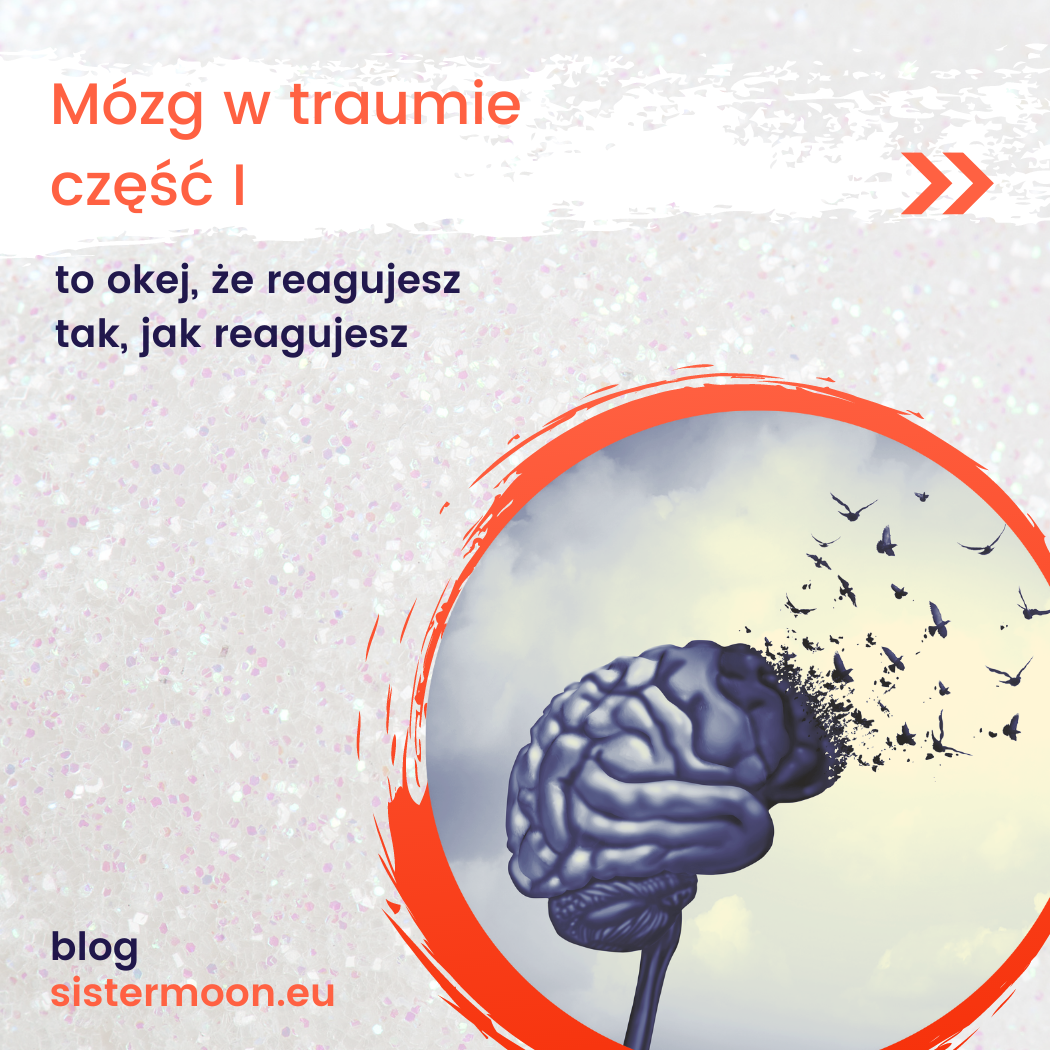 mózg trauma psychosomatyka psychoterapia terapia neuronauka psychotraumatologia carolina const układ nerwowy cptsd ptsd depresja lęk dysocjacja