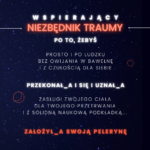 trauma ptsd cptsd carolina const wspierający niezbędnik traumy supermoce psychoedukacja toruń