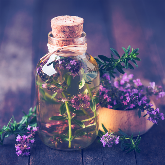 masaż relaksacyjny aromaterapeutyczny aromaterapia olsztyn toruń carolina const odnowa biologiczna regeneracja olejki eteryczne terapie naturalne naturopatia detoks